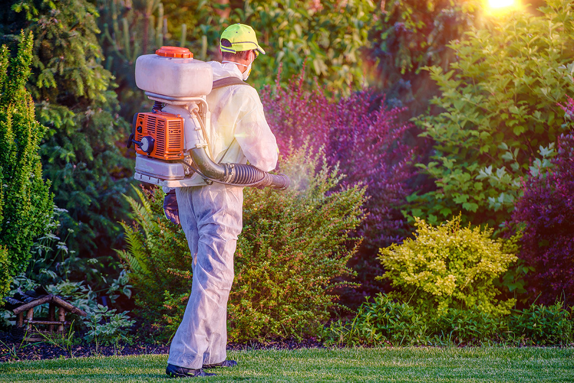 Man spraying plants and trees