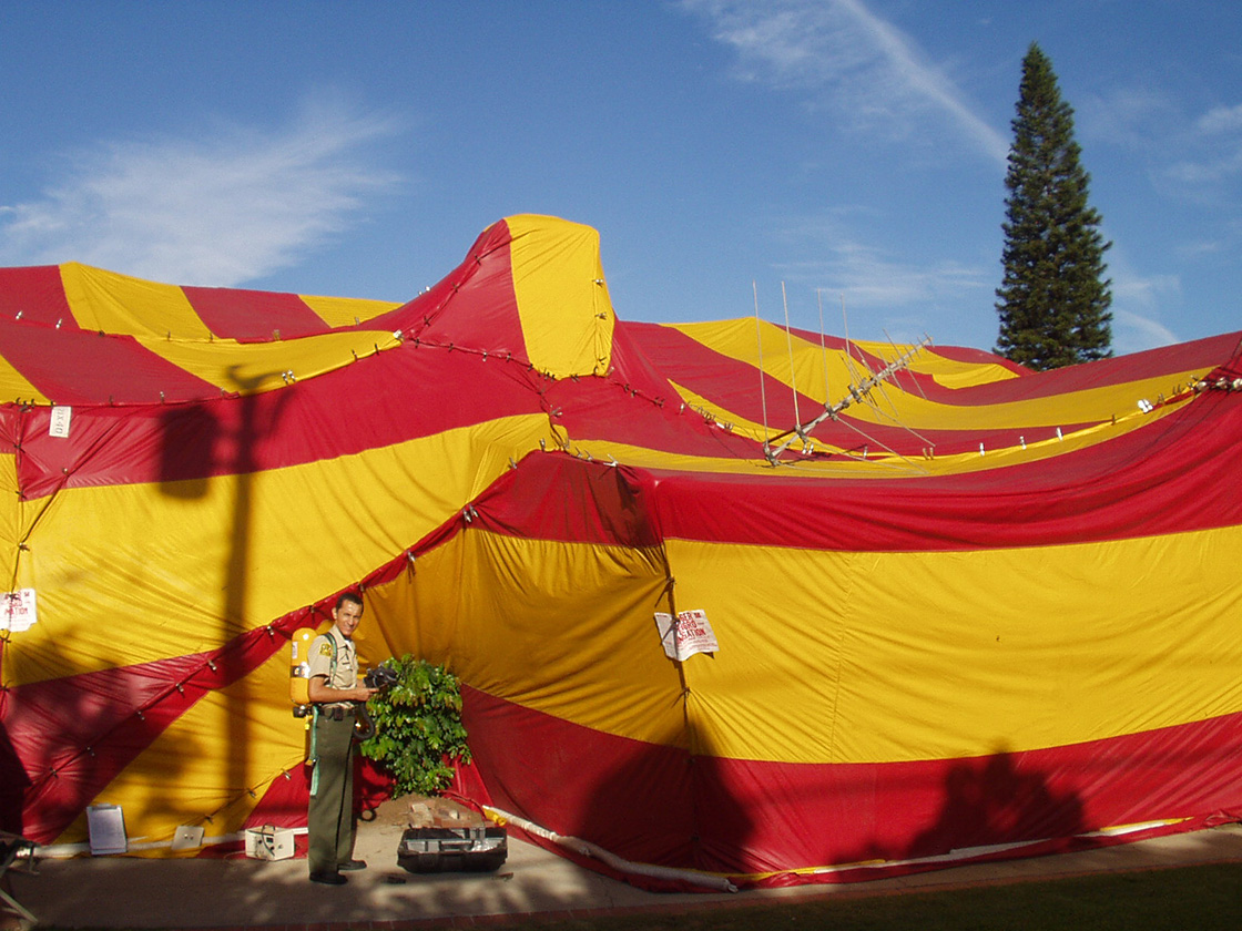 Pest control operator and tented house