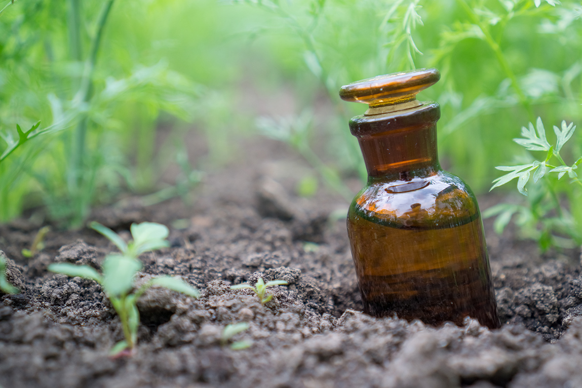 Amber colored bottle in a garden, containing liquid