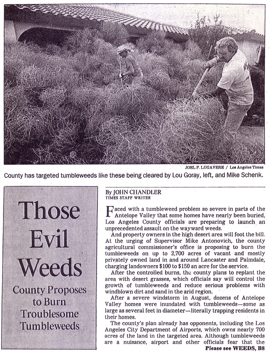 Newspaper. Men raking tall weeds. Headline: Those Evil Weeds