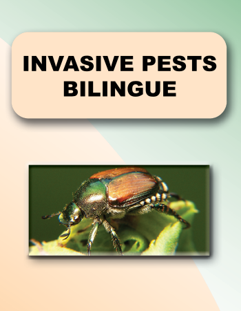 Invasive Pests Bilingue