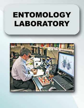 Entomology Lab