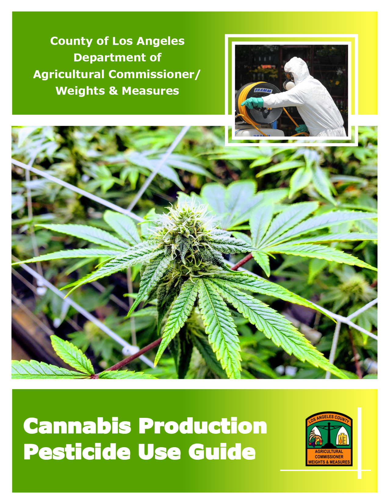 Cannabis Production