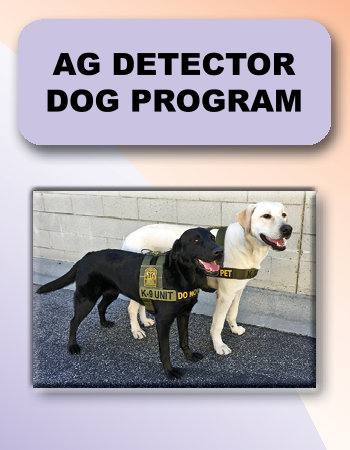 AG Detector Dog Prog
