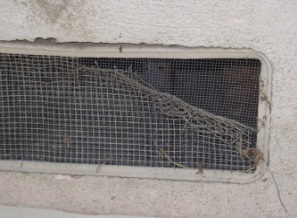 Metal mesh screen